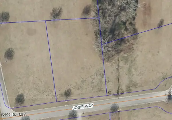 48 Josie Way, Arapahoe, NC 28510