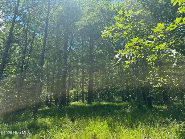 Lot 29 Honeysuckle Trail, Lincolnton, GA 30817