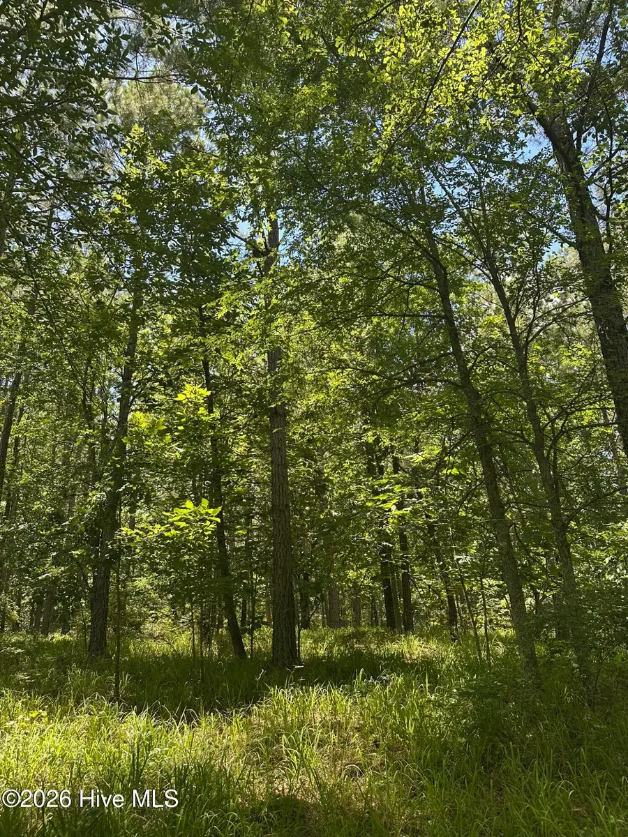 Lot 29 Honeysuckle Trail, Lincolnton, GA 30817 - #2