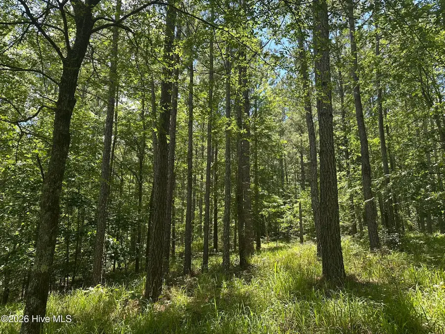 Lot 29 Honeysuckle Trail, Lincolnton, GA 30817 - #3