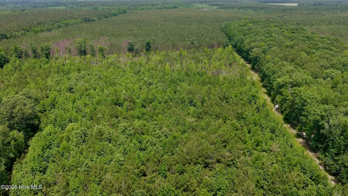 0 Indian Woods Road, Windsor, NC 27983 - #1