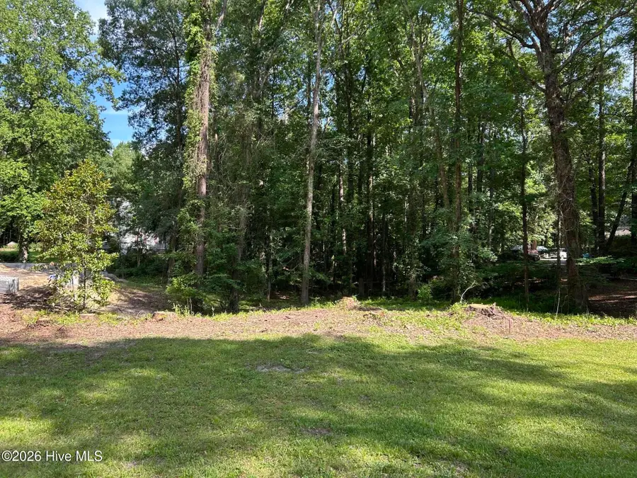 402 Camelia Drive, Washington, NC 27889 - #3