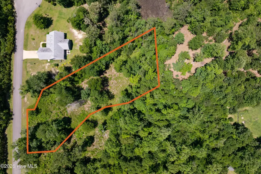 Lot 10 Tree Hill Lane, Hubert, NC 28539 - #2