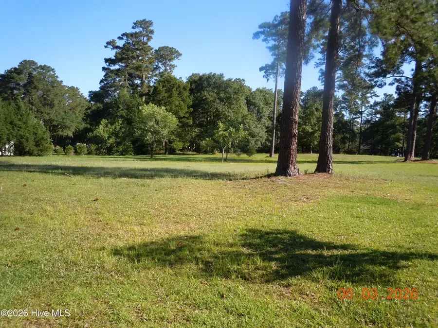 24 Willow Drive, Tabor City, NC 28463 - #2