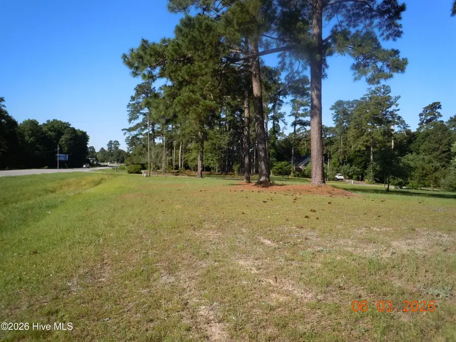 29 Ridge Drive, Tabor City, NC 28463 - #2