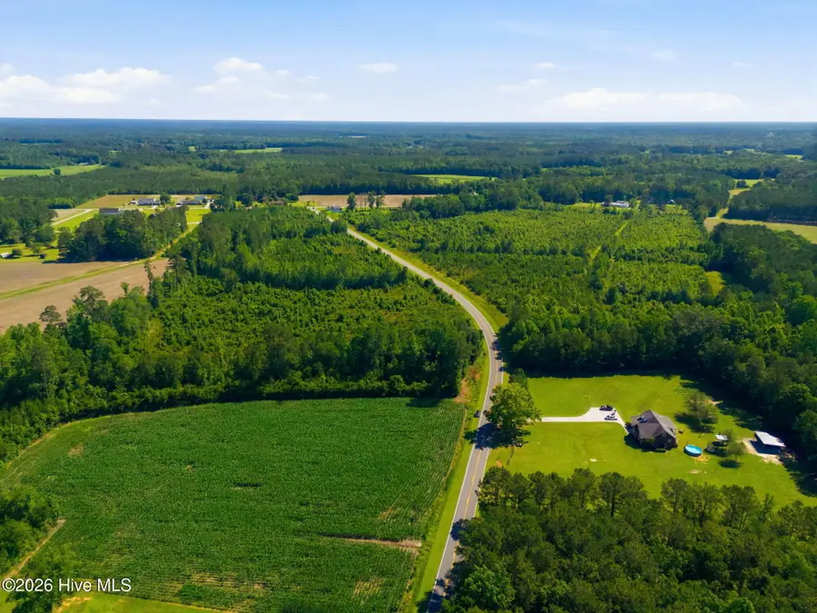 150 Furnie Hammond Road, Clarendon, NC 28432 - #3