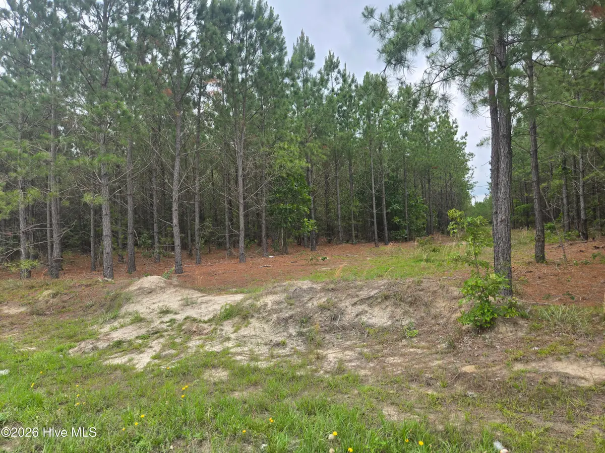 Tract 14 Belford Church Road, Jackson Springs, NC 27281 - #1