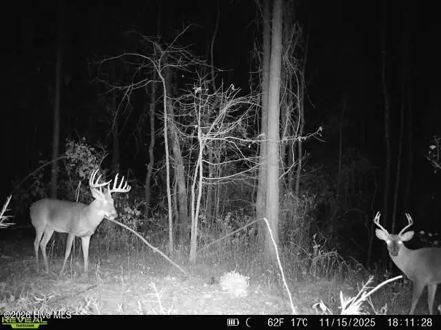 Tract 14 Belford Church Road, Jackson Springs, NC 27281 - #3