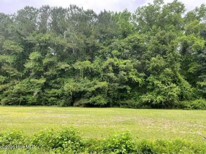 Tbd Point Caswell Road, Watha, NC 28478 - #1