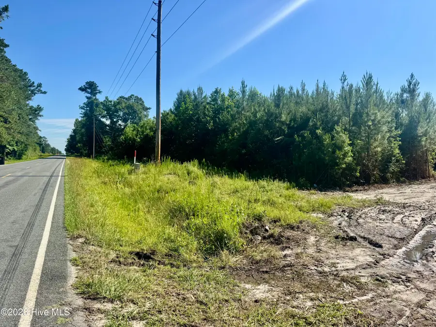 Near 4635 Hallsboro Road N, Clarkton, NC 28433 - #2
