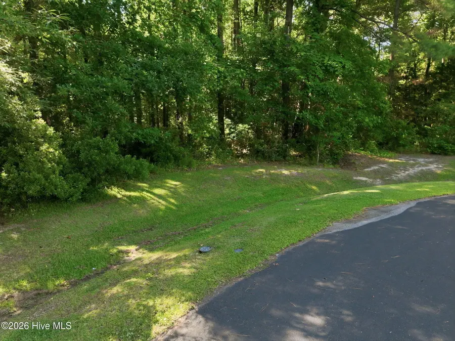 110 Bridge Tender Cove, Sneads Ferry, NC 28460 - #2