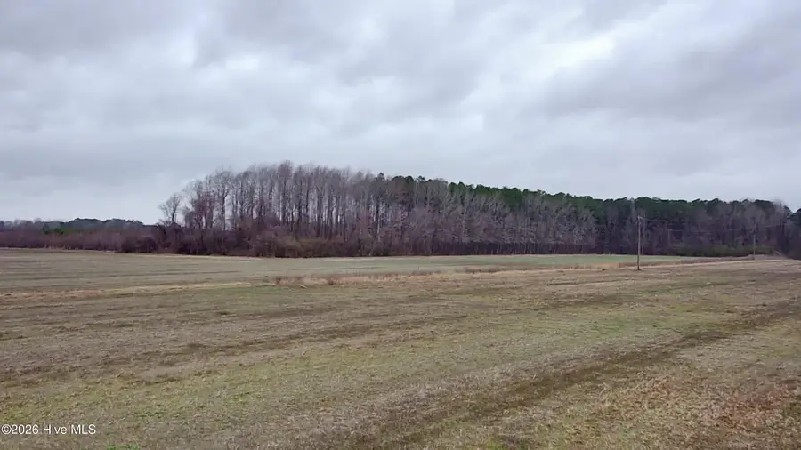 269 Creek Road, Bath, NC 27808 - #2