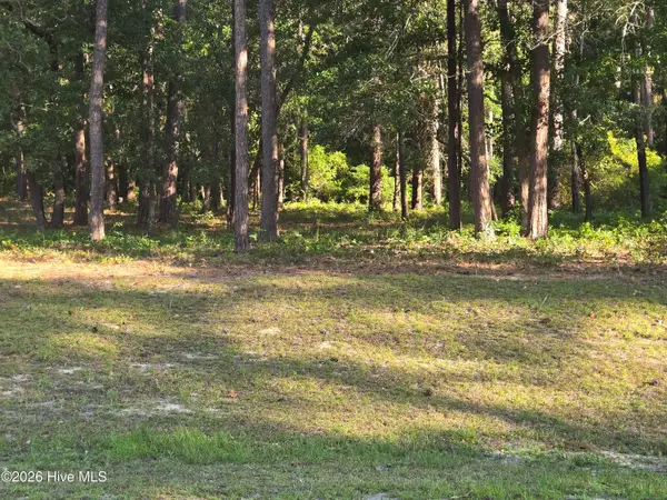 3840 Timber Stream Drive, Southport, NC 28461