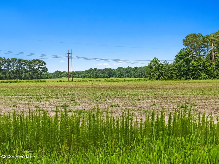 0008757 Boggy Branch Road, Council, NC 28434 - #3