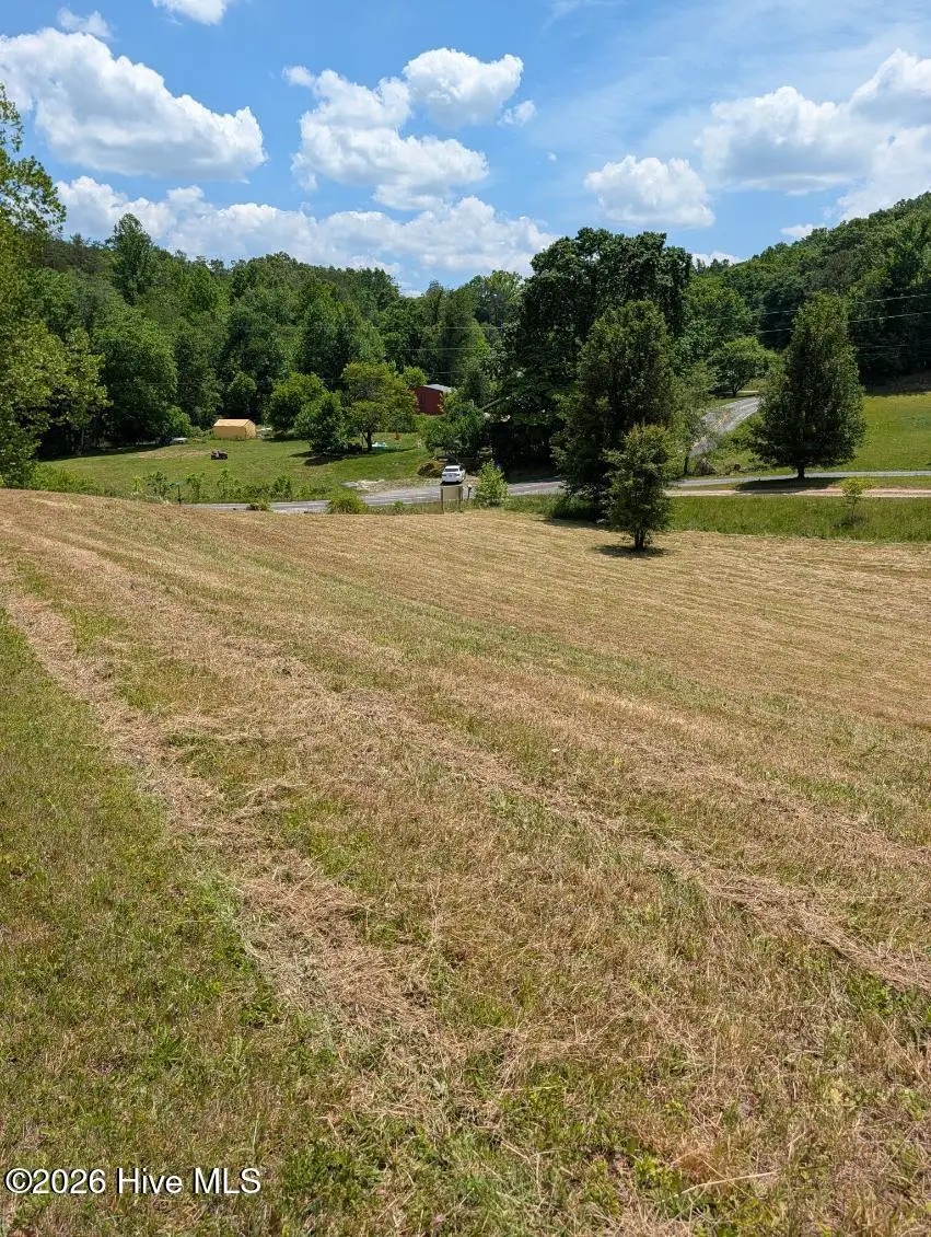 1 Henry Moss Lane, Marble, NC 28905 - #3