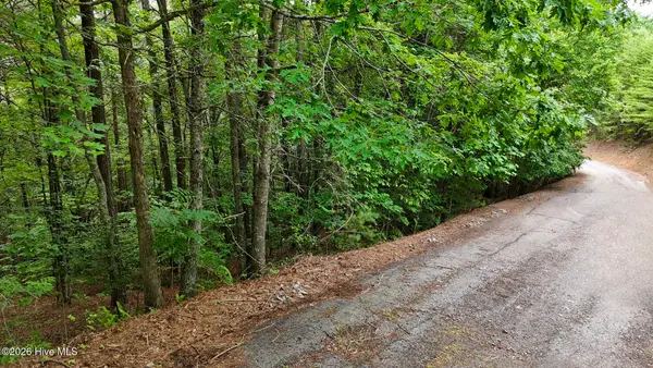 98-103 Choctaw Ridge Trail, Murphy, NC 28906