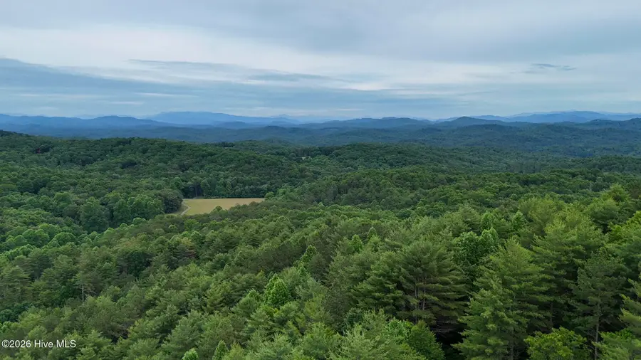 98-103 Choctaw Ridge Trail, Murphy, NC 28906 - #2