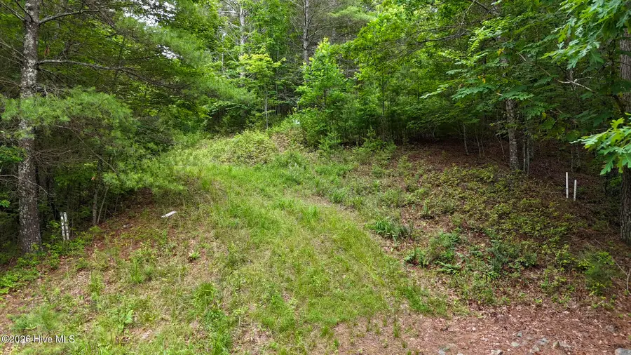98-103 Choctaw Ridge Trail, Murphy, NC 28906 - #3
