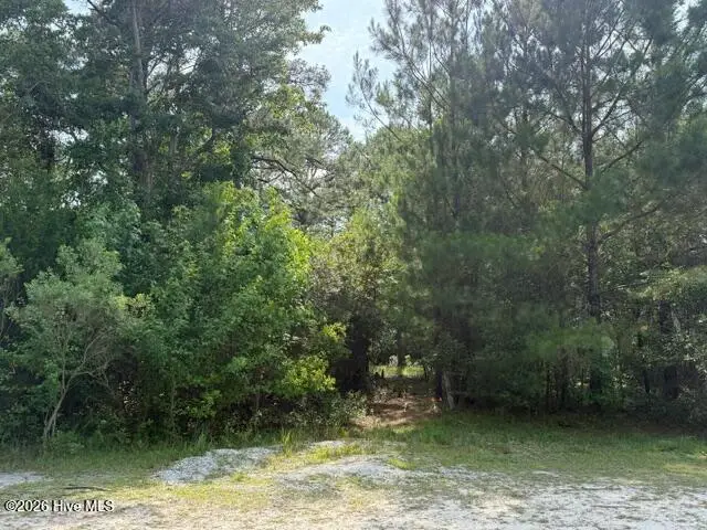 1602 Breezeway Drive Sw, Ocean Isle Beach, NC 28469 - #1