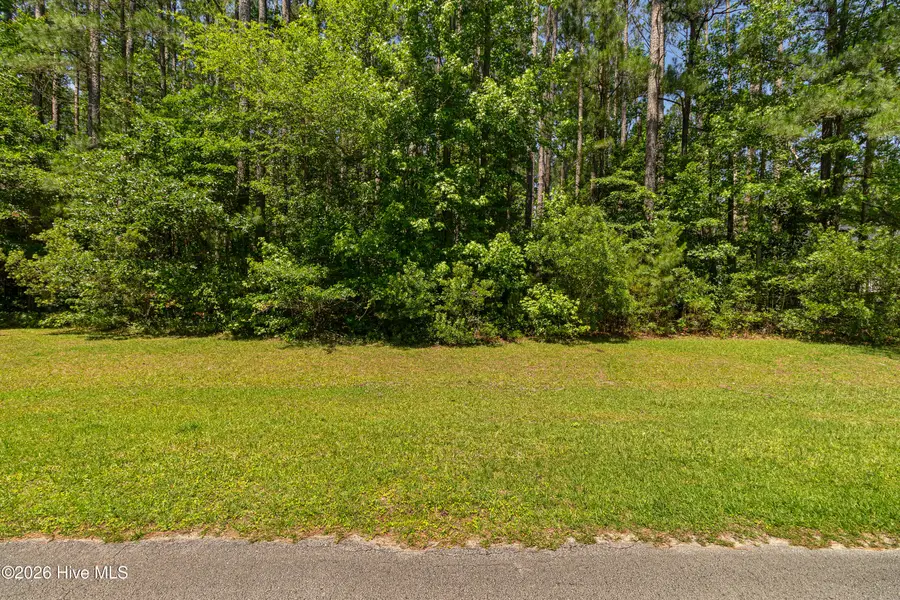 311 Antebellum Drive, Havelock, NC 28532 - #3