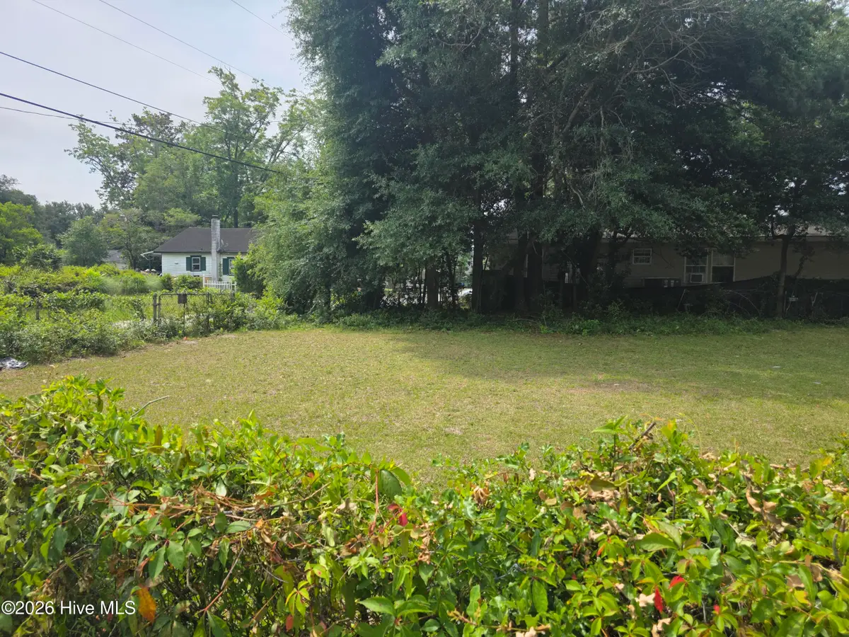 449 Clay Street, Wilmington, NC 28405 - #1