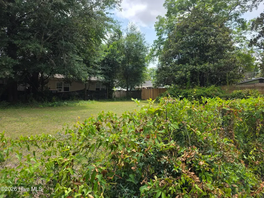 449 Clay Street, Wilmington, NC 28405 - #3