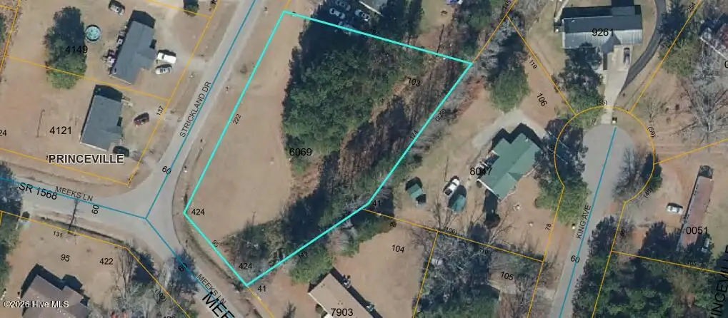 508 Strickland Drive, Princeville, NC 27886 - #1