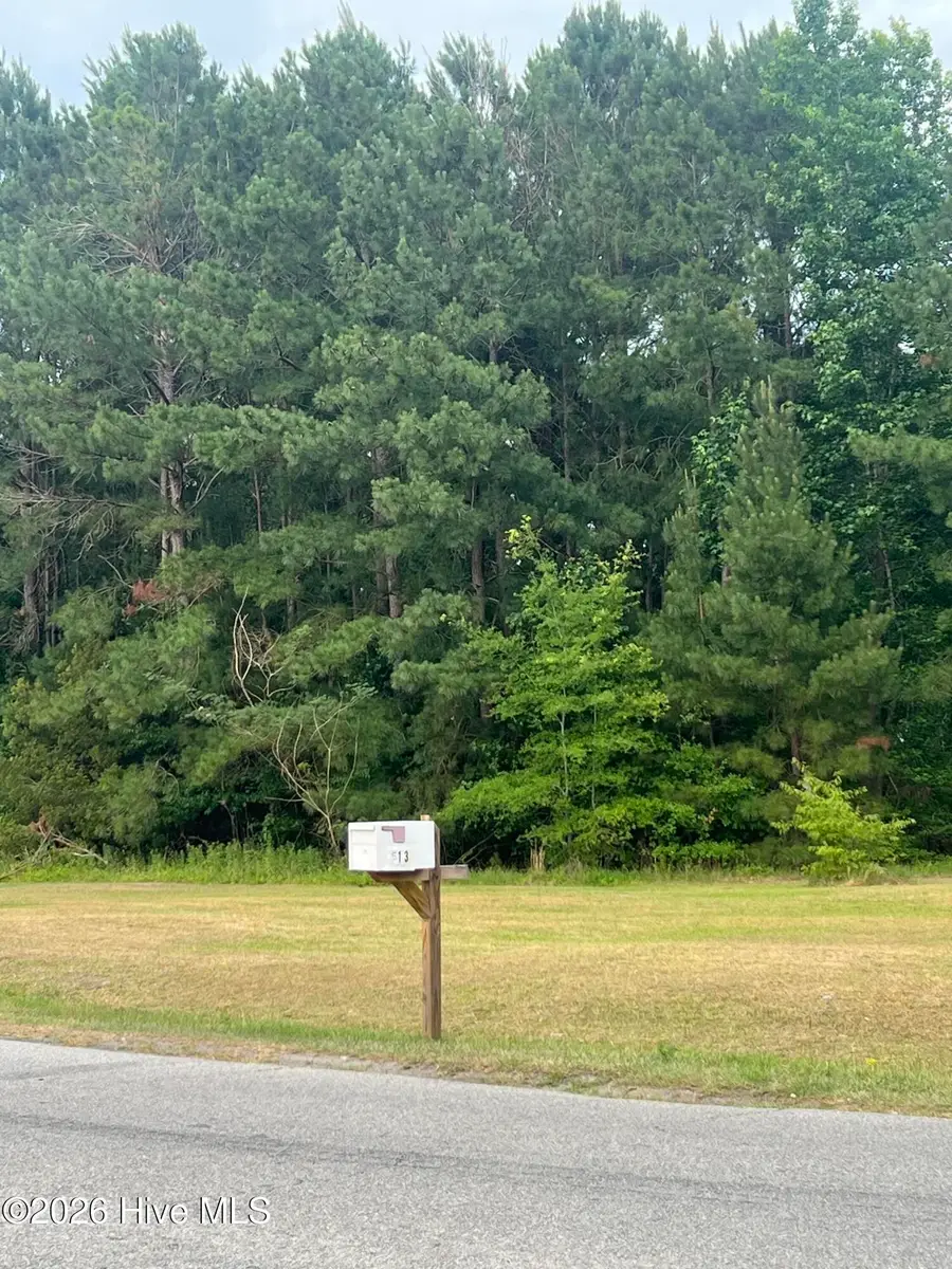 508 Strickland Drive, Princeville, NC 27886 - #3