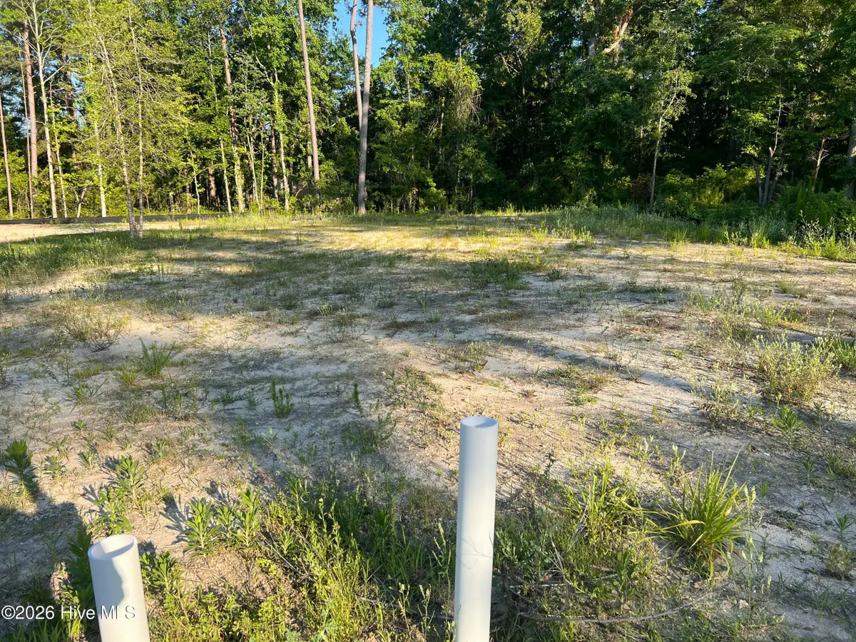 9069 National Avenue Ne, Leland, NC 28451 - #1