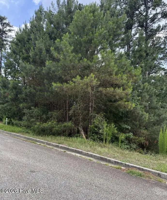 3946 Carolyn Street, Augusta, GA 30909 - #2
