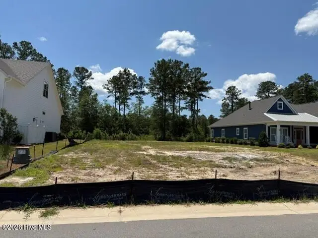 5042 Saltgrass Cove, Leland, NC 28451 - #2
