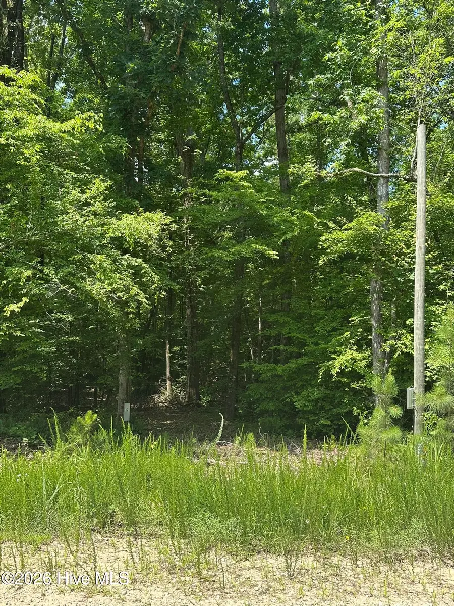 Lot 17 Lakeshore Estates Drive, Lincolnton, GA 30817 - #3