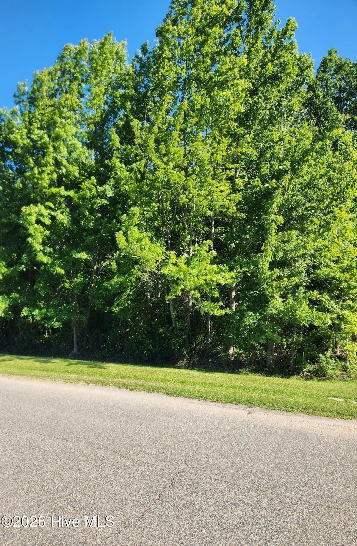 32 Treasure Point Road, Bath, NC 27808 - #1