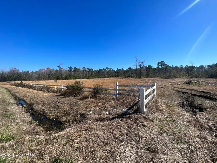 897 Chair Factory Road, Nakina, NC 28455 - #3