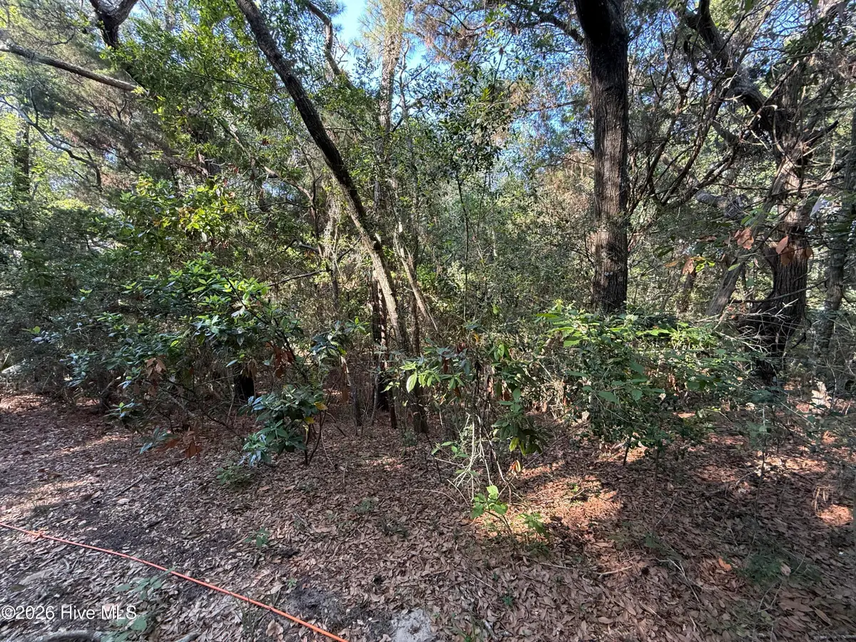 53 Fort Holmes Trail, Bald Head Island, NC 28461 - #1