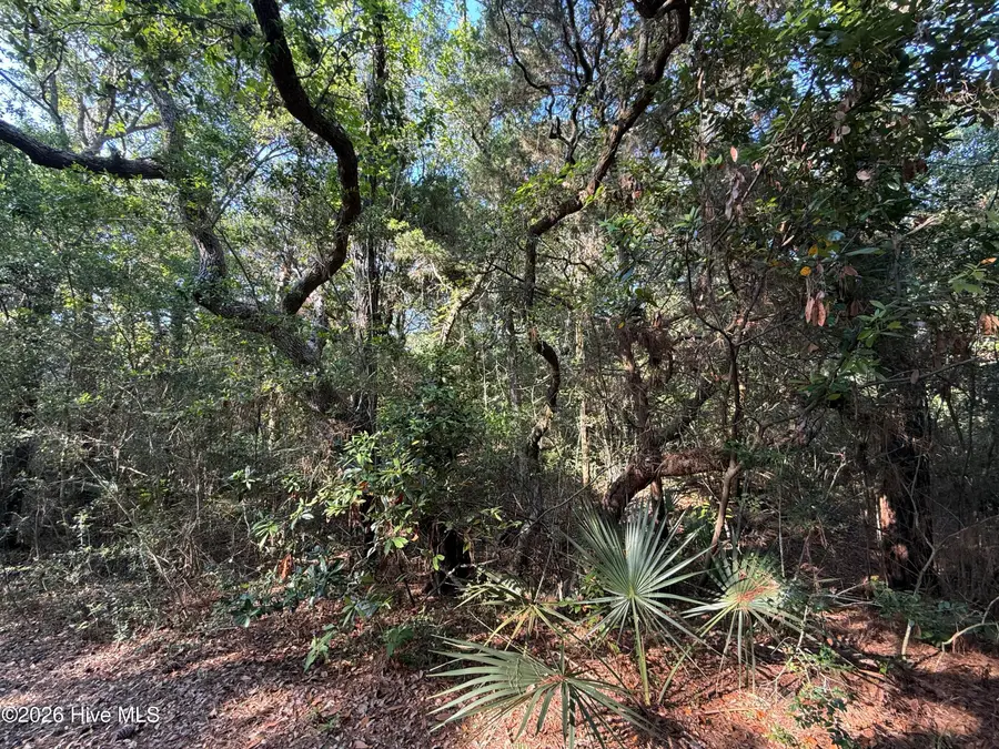 53 Fort Holmes Trail, Bald Head Island, NC 28461 - #2