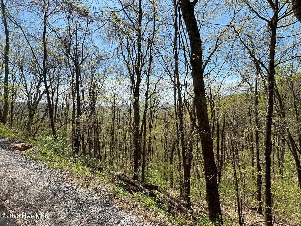 Lot 4 Outlook Road, Murphy, NC 28906 - #1