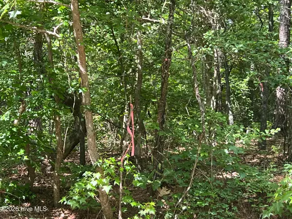 747 Sandspur Drive, Vass, NC 28394