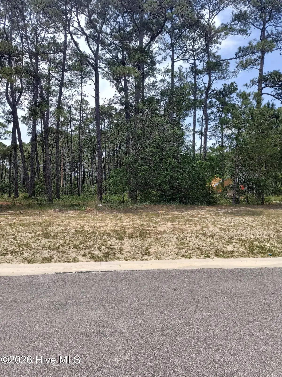 6077 Isla Mona Drive Sw, Shallotte, NC 28470 - #1