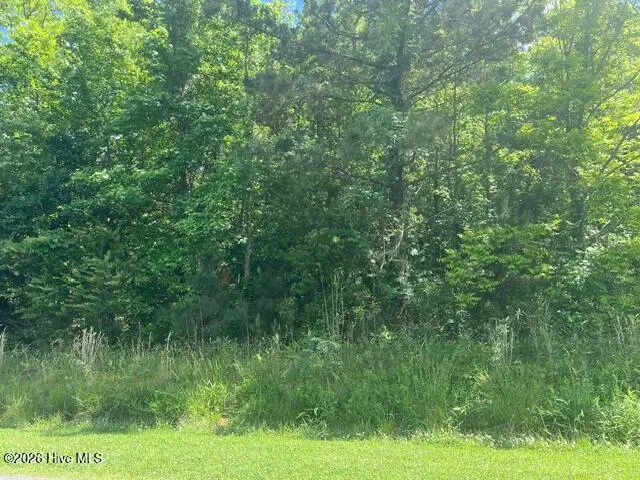 0 Sr 1916 & 1917, Aurora, NC 27806 - #1