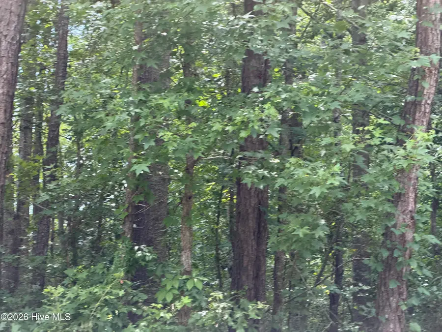 0 Sr 1916 & 1917, Aurora, NC 27806 - #2