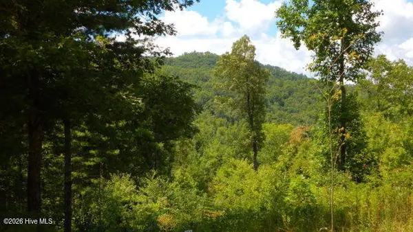 16 Tyler Ridge, Murphy, NC 28906