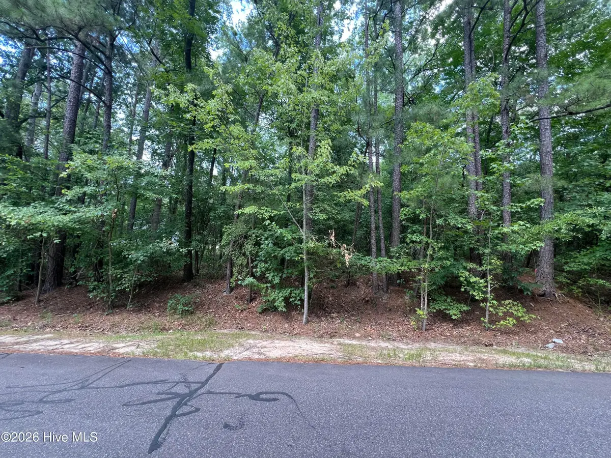 307 Thimbleberry Drive, Vass, NC 28394 - #1