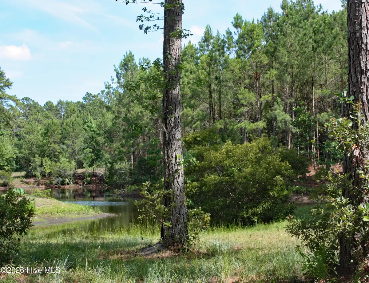 738 Highgate Place Sw, Ocean Isle Beach, NC 28469 - #1