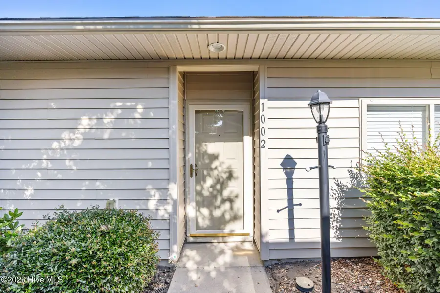 1002 Summerlin Falls Court, Wilmington, NC 28412 - #3
