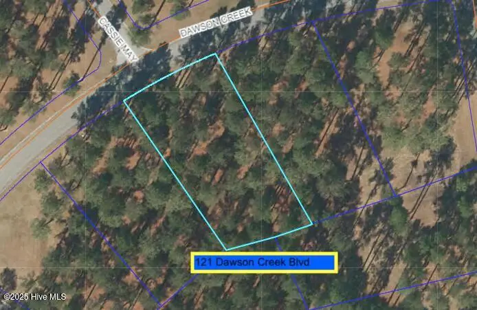 212 Dawson Creek Boulevard, Arapahoe, NC 28510 - #1