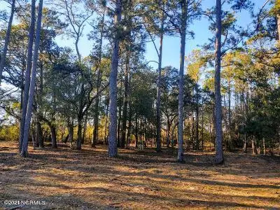 4002 Barnes Bluff Drive Se, Southport, NC 28461 - #2