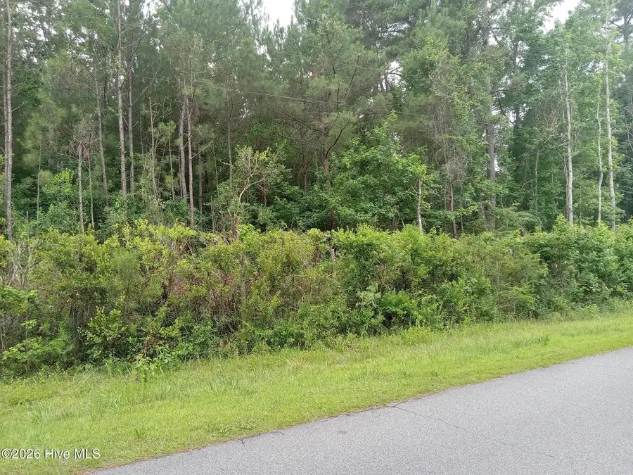 6735 Richardson Drive Nw, Ocean Isle Beach, NC 28469 - #3