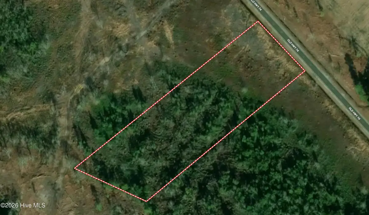 0 Near 10769 Old 74, Evergreen, NC 28438 - #1