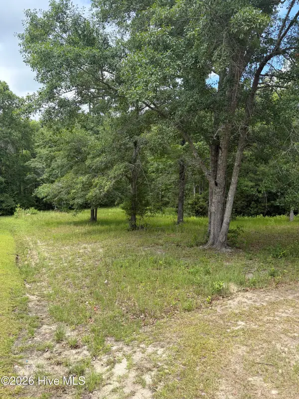 529 N Wild Rice Drive Sw, Supply, NC 28462